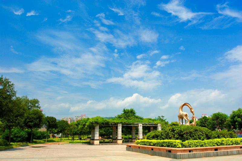 “圍捕雪豹”“漂流小孩哥大鬧幼兒園”等都是謠言！10起網(wǎng)絡(luò)謠言案件公布