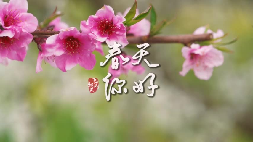 你好，韶關(guān)