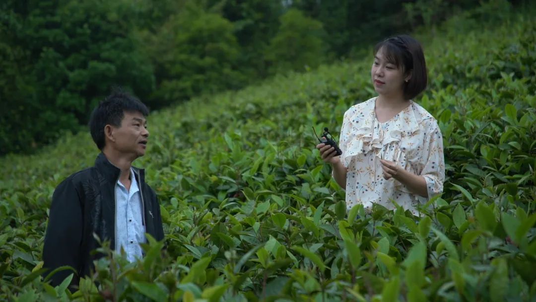 這位“全能型”記者不簡(jiǎn)單！她用執(zhí)著與熱情記錄著仁化的發(fā)展