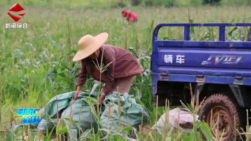 縣市區(qū)連線20250516