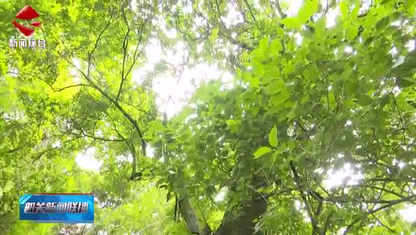 著名作家阿來一行來韶調(diào)研 跟隨東坡足跡積累創(chuàng)作素材