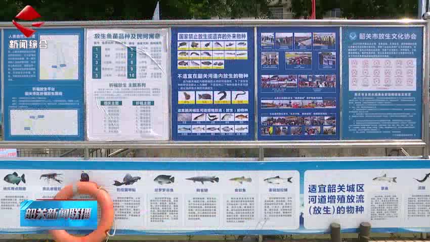 “六一”與“放魚(yú)日”邂逅 童心協(xié)力護(hù)生態(tài)